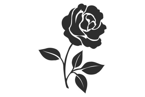 A Practical Review of the Black Rose Graphic for Crafts & Client Design
